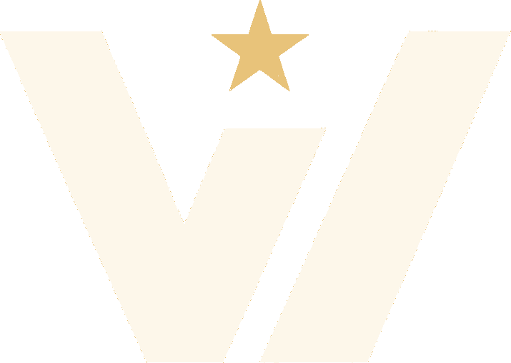 Vi